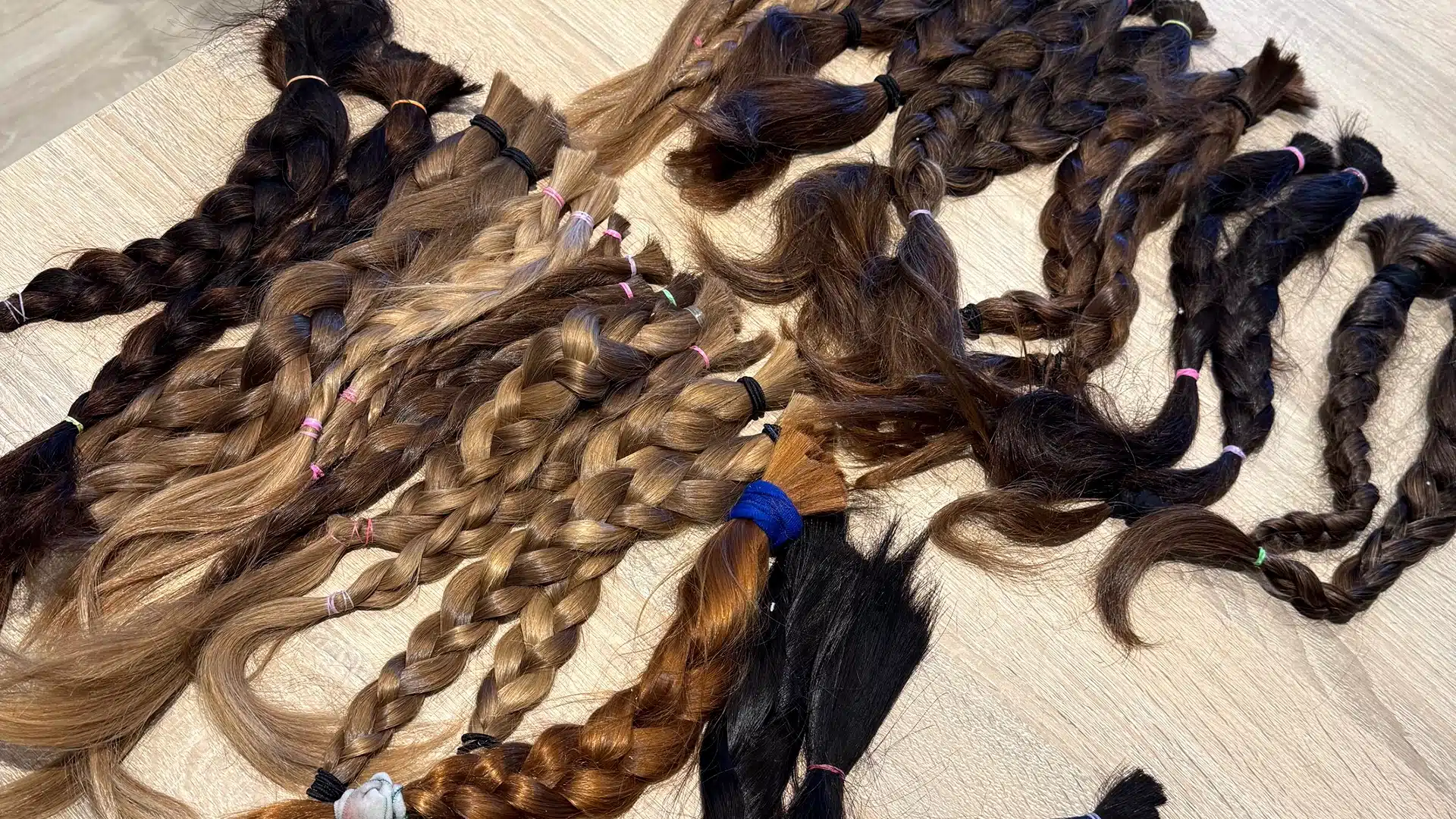 The American School of The Hague