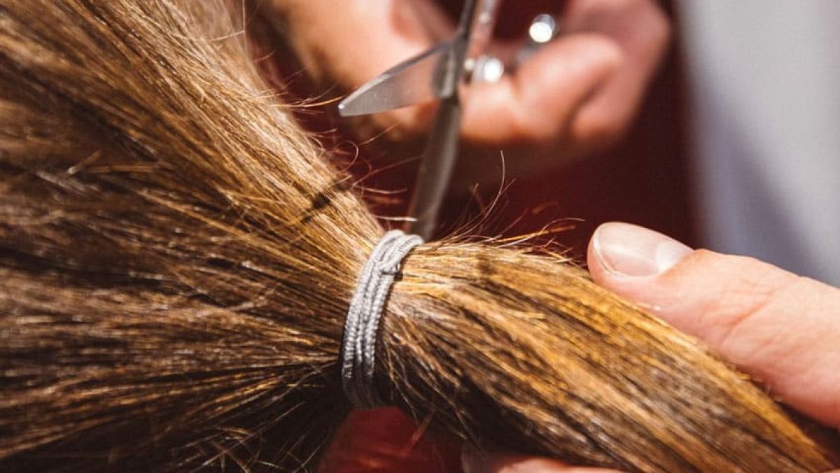 Haar doneren Nederland